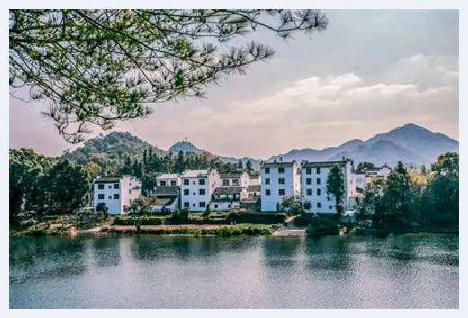 自建房 | 院子里种梅花风水好吗？院子里种梅花的讲究介绍 | 自建房