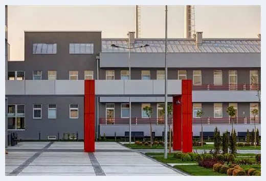 城市自建房 | 家里挂鹿头有忌讳吗？鹿头挂的好，吉祥富贵少不了！ | 城市自建房