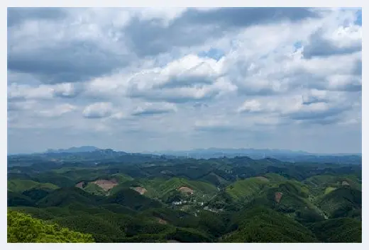 自建房常识 | 塔楼和板房哪个好？板塔结合的房子怎么选户型？ | 自建房常识