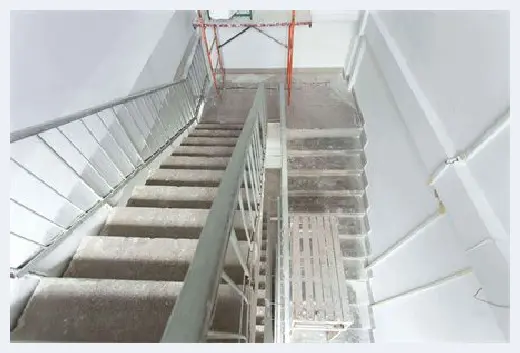 自建房百科 | 南榆木是什么木？ | 自建房百科