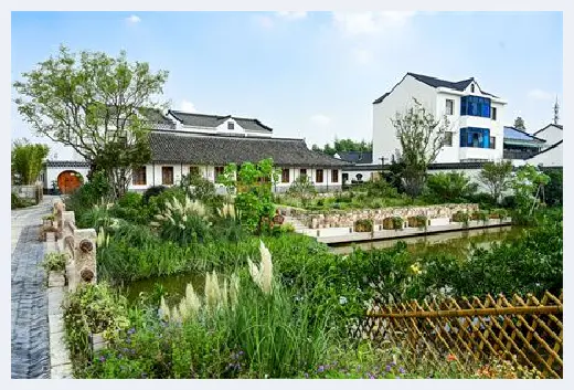 自建房资料 | 门口种松树好不好？切莫茫目行事 | 自建房资料