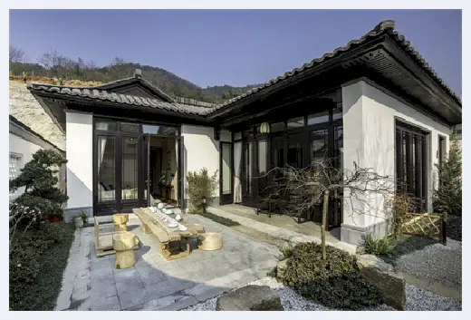 自建房知识 | 富贵竹的摆放风水禁忌有哪些？富贵竹摆放在家里哪里好？ | 自建房知识