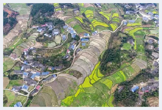 城市自建房 | 暖气片过滤器装在哪里 | 城市自建房