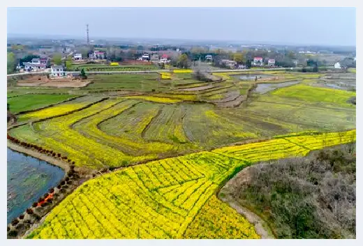 城市自建房 | 买房为什么不能买最后一排？买房需要注意哪些忌讳？ | 城市自建房