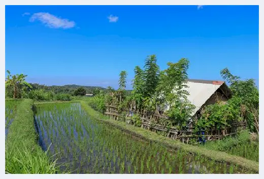 自建房百科 | 为什么都买顶吸油烟机 | 自建房百科