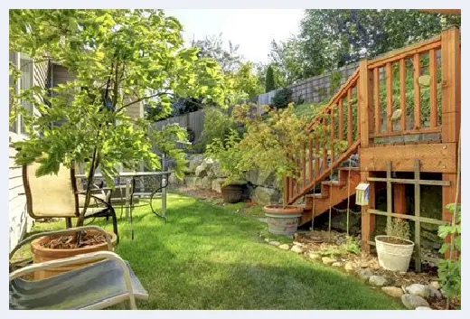 自建房指南 | 家里不能养的6种花是哪些？家里养哪些花好？ | 自建房指南