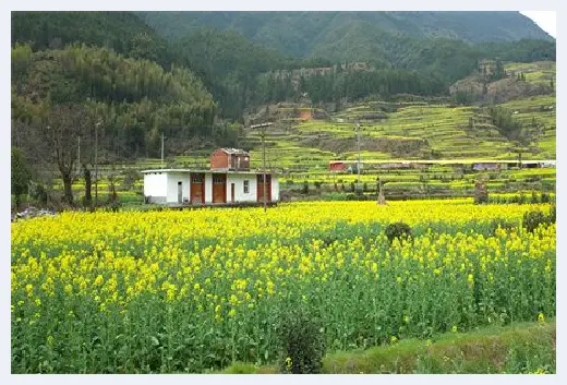 自建房百科 | 滁州市宅基地有偿使用制度是怎样的？如何收取有偿使用费？ | 自建房百科