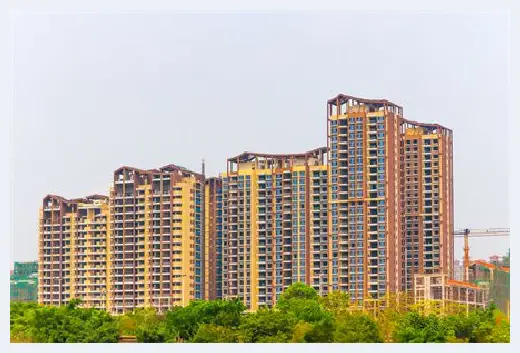 城市自建房 | 屋前种什么树最旺？财运也可以靠自己 | 城市自建房