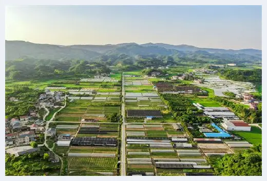 自建房资料 | 家里出现蚂蚁预示什么？莫忽视 | 自建房资料