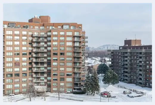 自建房 | 葛花树种院子里好不好？细述院子里适合种什么树 | 自建房