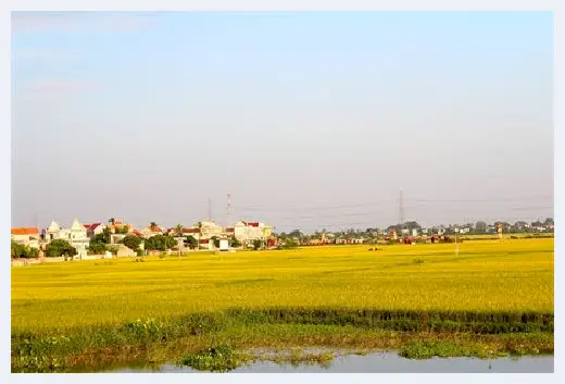 自建房百科 | 通体瓷砖和抛釉砖区别，看完豁然开朗 | 自建房百科