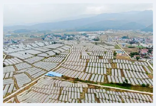 自建房 | 备案是什么意思？备案要求有哪些？这些内容别错过 | 自建房