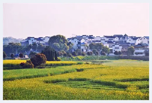 自建房科普 | 农保住院报多少？解惑从此开始 | 自建房科普