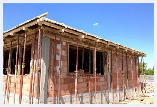 自建房资料 | 家里出现蚂蚁预示什么？莫忽视 | 自建房资料