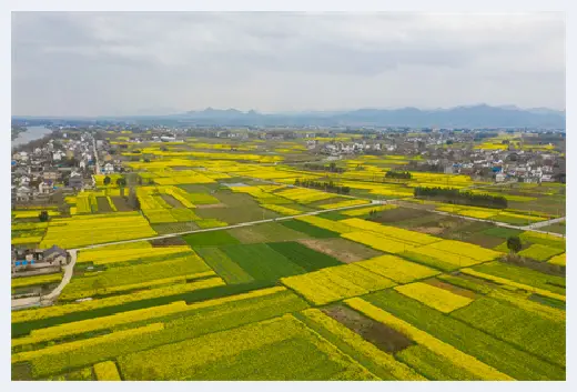 自建房 | 2019年农村二层自建房带内外庭院，想建房的不能错过！ | 自建房