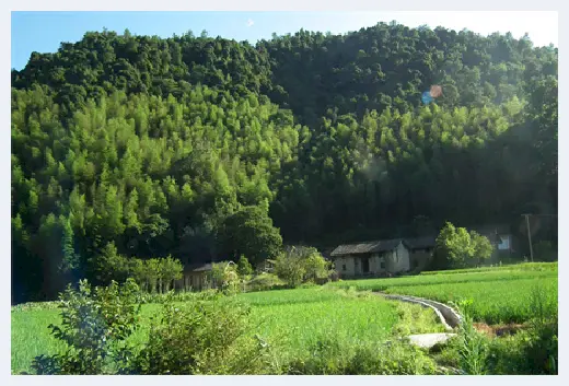 自建房 | 普通住房和非普通住房的区别，这几条购房事项要了解！ | 自建房