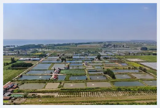 自建房百科 | 住房后面有棵大树风水好不好？房前屋后的风水禁忌有哪些 | 自建房百科