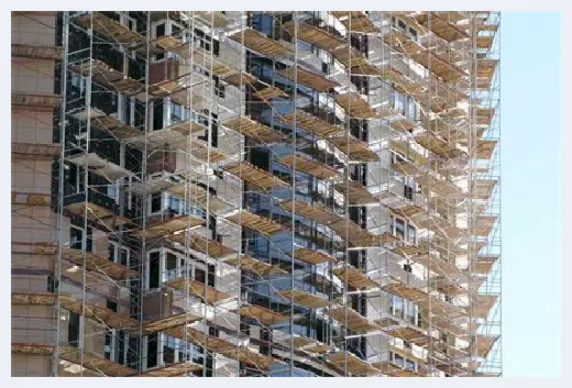 自建房教程 | 硅藻泥和贝壳粉哪个贵？竟然还有这些区别 | 自建房教程