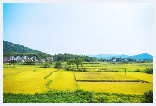 自建房科普 | 暖气排气阀如何排气 | 自建房科普