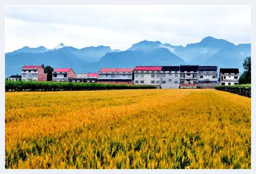 自建房常识 | 农村房屋换大门注意什么好？万万不可触犯的风水禁忌 | 自建房常识