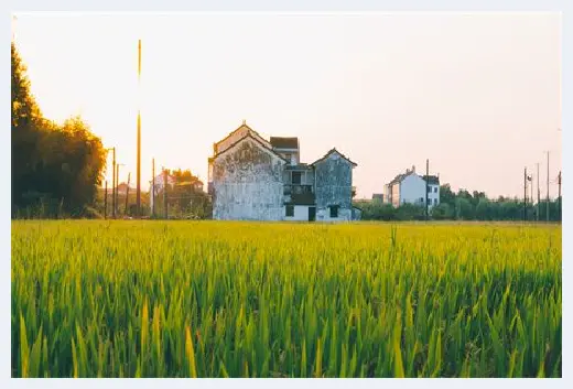 自建房教程 | 门朝东的房子好吗？大门风水朝向要注意！ | 自建房教程