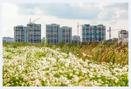 自建房 | ​农村自建房—装配式结构 | 自建房