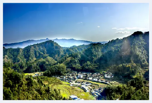 城市自建房 | 乡村旅游前景这么好，看完这篇文章想赶紧回农村老家建房！ | 城市自建房