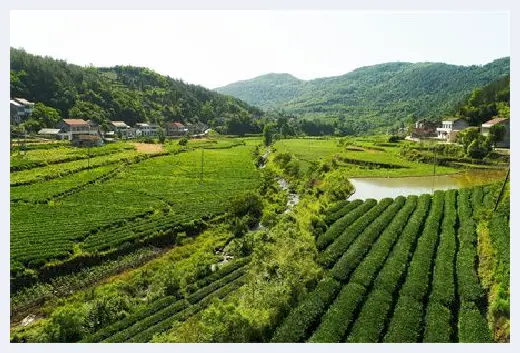 自建房科普 | 七种阴宅最好的坐向，选好阴宅护佑子孙后代 | 自建房科普