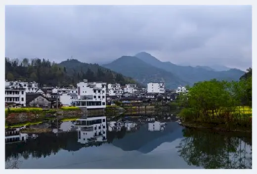 自建房知识 | 富贵竹的摆放风水禁忌有哪些？富贵竹摆放在家里哪里好？ | 自建房知识