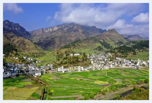 自建房百科 | ​风水上10大吉利花，养一盆就能顺风顺水 | 自建房百科