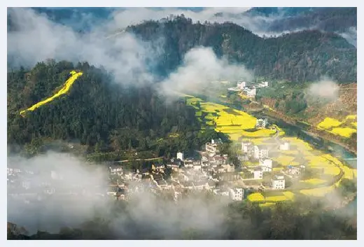 自建房教程 | 庭院大门两边栽什么花好？庭院大门两边有哪些风水禁忌？ | 自建房教程