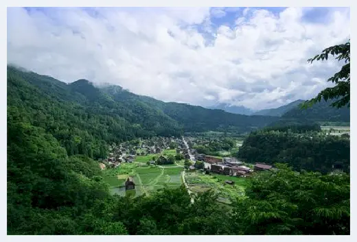 自建房资料 | 红豆杉种在院子里什么地方好？院子里种这些植物比较吉利 | 自建房资料