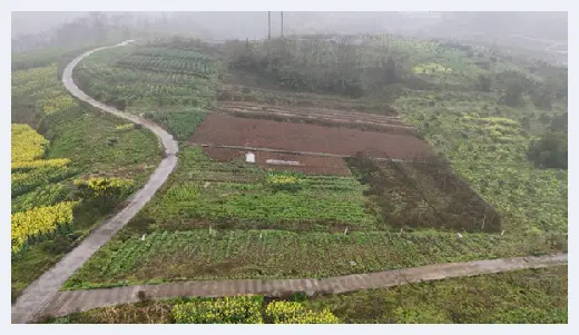 自建房百科 | 重庆农家庭院、果园鱼塘等优质地块出租，品类多样，年限灵活！ | 自建房百科