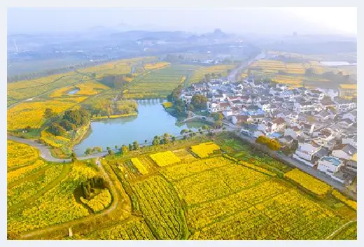 农村自建房 | 大树压屋顶风水好吗？不重视可招灾病到家？ | 农村自建房