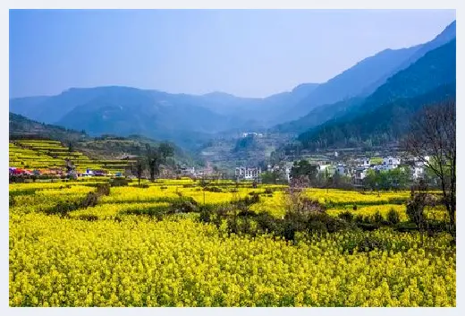 自建房学堂 | 龙画能在家里随便挂吗？家居适合摆放哪些画？ | 自建房学堂