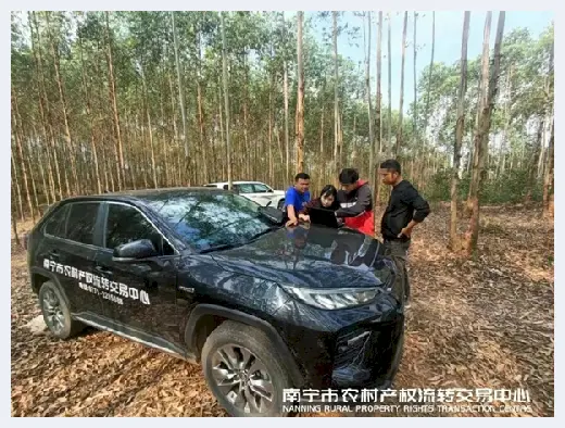 自建房科普 | 南宁市农村产权流转交易中心：“小平台”辐射流转“大市场”，构筑乡村振兴桥梁 | 自建房科普