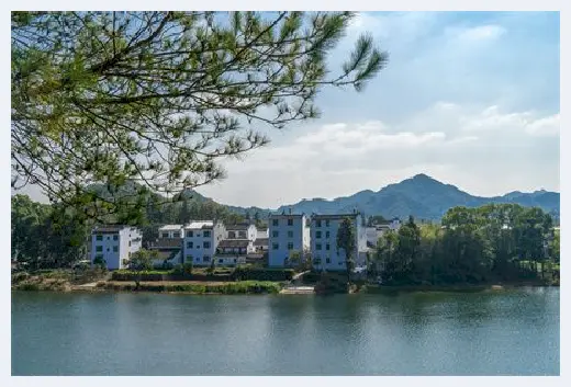 自建房学堂 | 进门鞋柜处摆放什么植物招财？家里摆放植物需要注意什么？ | 自建房学堂