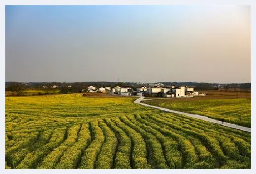 农村自建房 | 主卧门对着入户门好吗？答案文中立见分晓 | 农村自建房