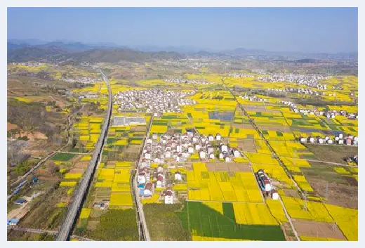 自建房资料 | 临朐县东城街道多个村庄要征收土地了，快看详细征地名单！ | 自建房资料