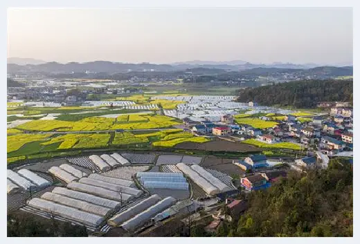 城市自建房 | 种柿子树对家人不好？风水学中的这些凶树一定要避开！ | 城市自建房