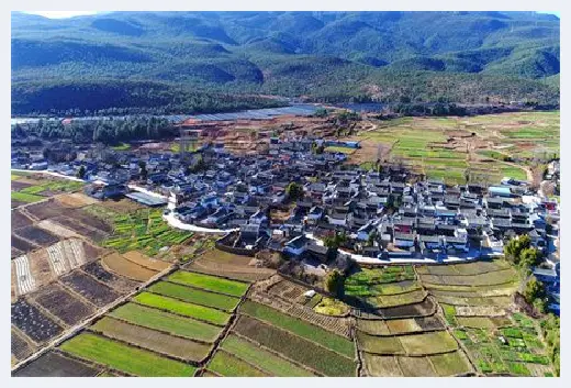 自建房学堂 | 桂花树风水禁忌，一起来看看吧 | 自建房学堂