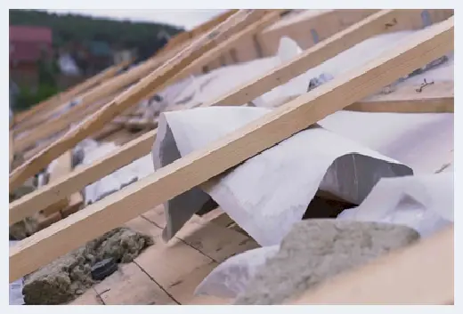 自建房资料 | 从今年6月份开始，这五类村民已经被禁止建房了 | 自建房资料