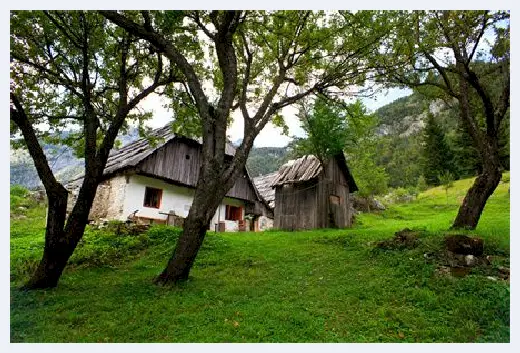 自建房百科 | 有钱不住东南房的原因 | 自建房百科