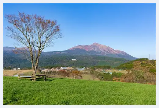 城市自建房 | 农村宅基地超面积该怎么处理？这些要点不知道可不行！ | 城市自建房