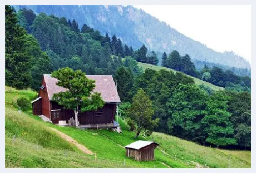 自建房指南 | 部分违建房屋可以继承过户吗？速解违建房屋的危害 | 自建房指南