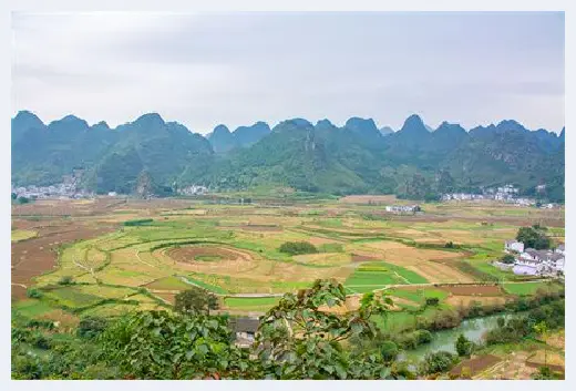 自建房科普 | 橡木门和实木门的区别，有需要请拿走不谢 | 自建房科普