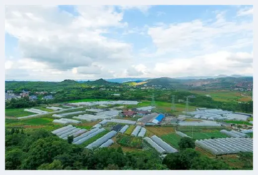 自建房教程 | 庭院葡萄架怎么搭建？庭院种葡萄如何过冬？ | 自建房教程