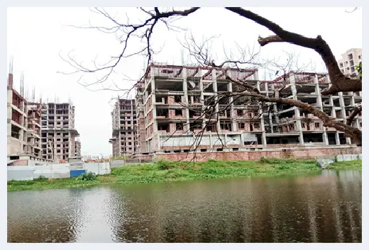 自建房教程 | 2019年装修房子的好日子有哪些？且看以下详细一览表 | 自建房教程