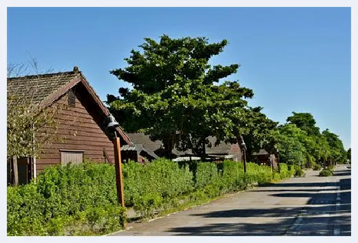 自建房百科 | 自建房地基施工的步骤有哪些呢？地基加固的方法一定要知！ | 自建房百科