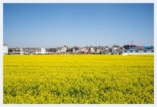 自建房知识 | ​新型屋顶防水材料有哪些？施工要点是什么？老师傅手把手教你 | 自建房知识